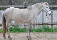 HARDIE DE CHANCE